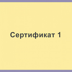 Сертификат 1